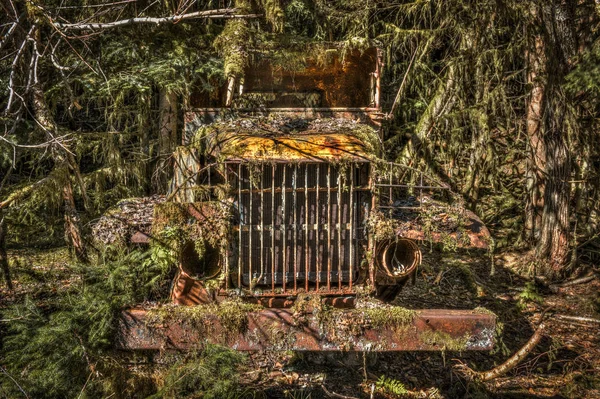 Alter rostender Lastwagen in Kiefernwald überwuchert — Stockfoto