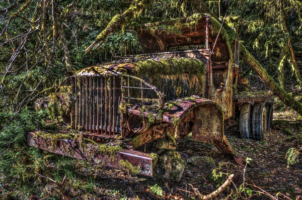 Viejo camión oxidado cubierto de bosque de pinos —  Fotos de Stock