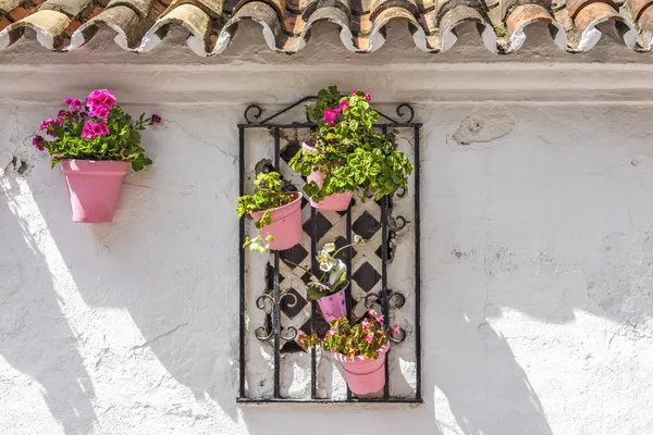 Vägg med rosa blomkrukor och galler på Marbella — Stockfoto