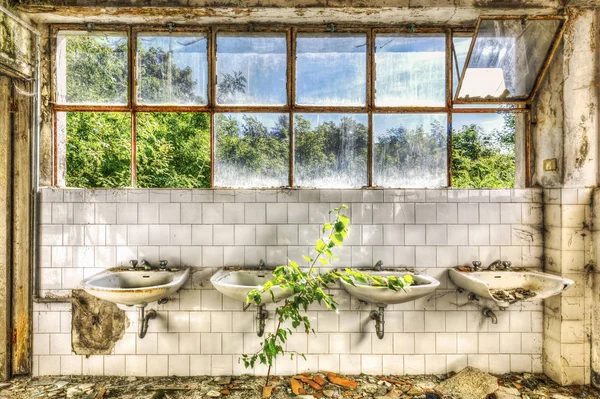 Baufällige Waschbecken im Waschraum einer verlassenen Asylunterkunft Stockfoto