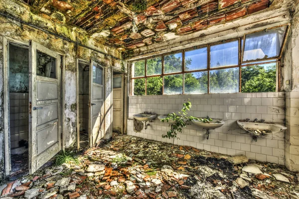 Зруйновані туалети в покинутому притулку Ліцензійні Стокові Фото