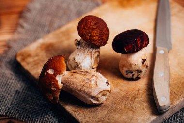 Boletus mantar bir tablo