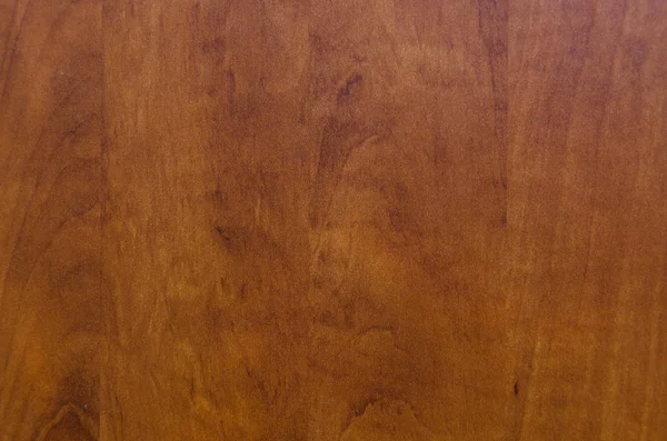 Ağacın altında iyi doku.