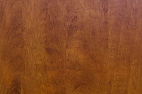 Хорошая текстура под деревом
.