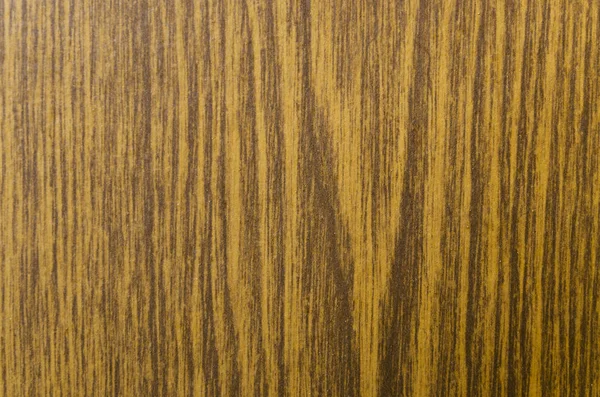 Texture of a laminate under a tree. — Stock Photo, Image