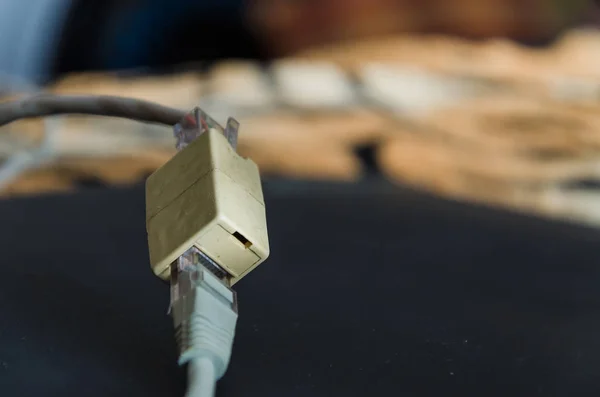 Ethernet kablosu takılı — Stok fotoğraf