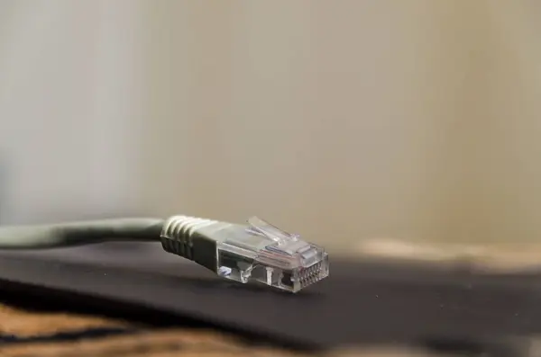 이더넷 케이블에 연결 — 스톡 사진