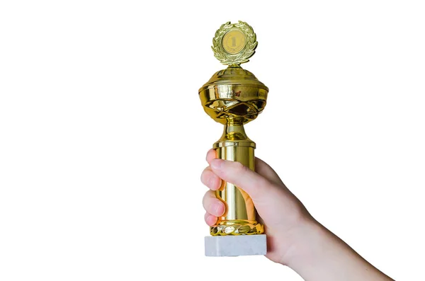 Gold cup in the hands. — Stock Photo, Image