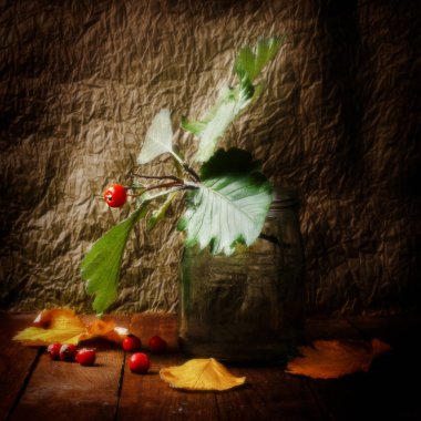 Koyu arkaplanda parlak kırmızı güzel kızılcık üzümleri..