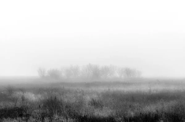 Sisteki siyah beyaz manzara