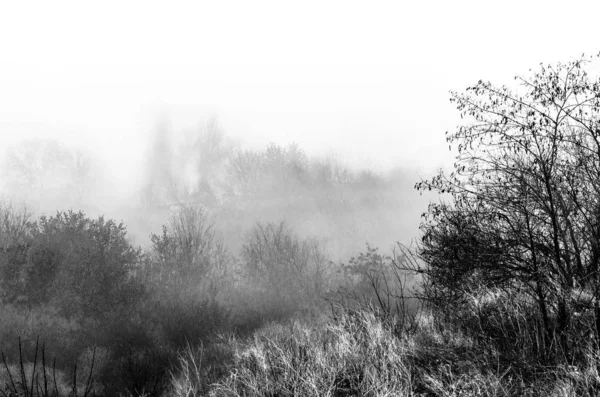 Sisteki siyah beyaz manzara