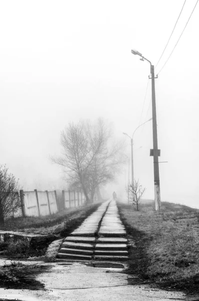 Black and white scenery in the fog — Stock Photo, Image