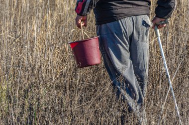 Çayır ve tarlalarda mantar toplayan emekliler.
