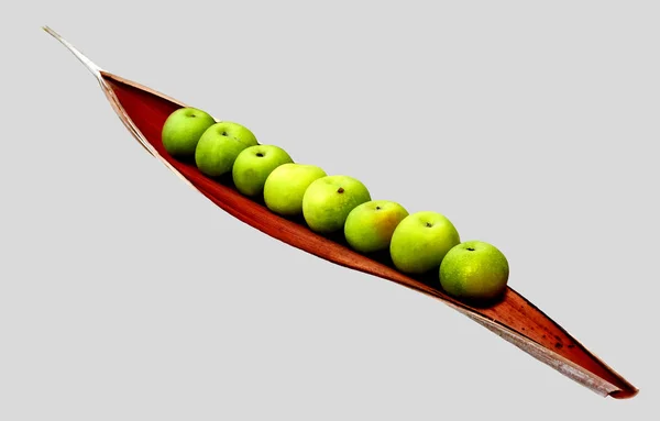 Apple Pod. Hala hayat