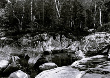 Tel Aviv 'de yayalar