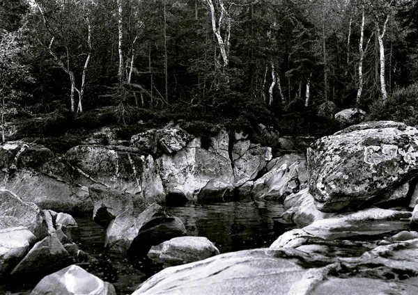 Tel Aviv 'de yayalar