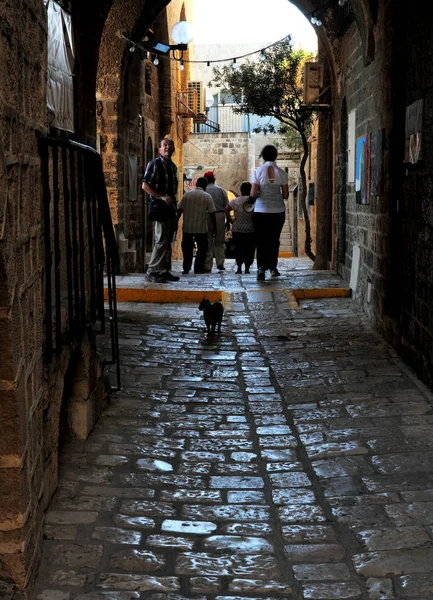 Jaffa kentinde Lane