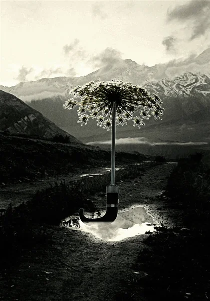 pamir içinde su birikintileri