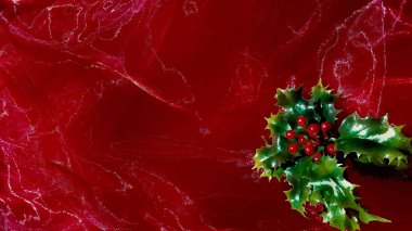 Kırmızı holly ile şeffaf malzeme