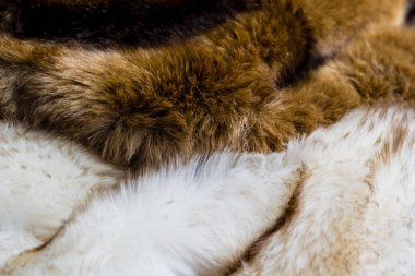 Kürk kürk kahverengi ve beyaz