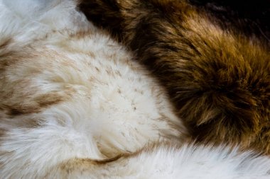 Birlikte katlanmış kürk