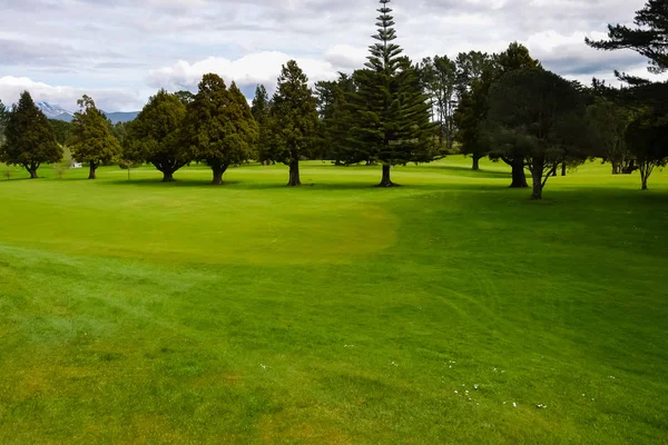 Zielony na polu golfowym w Nowej Zelandii — Zdjęcie stockowe