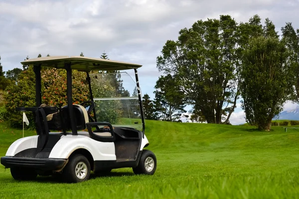 Nieuw-Zeeland golfbaan met Golfers Kart — Stockfoto