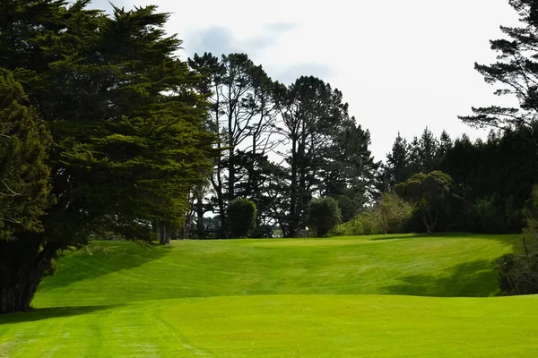 Nueva Zelanda campo de golf verde —  Fotos de Stock