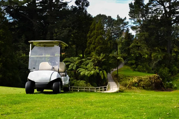 Campo de golf de Nueva Zelanda y Golfistas Kart por puente —  Fotos de Stock