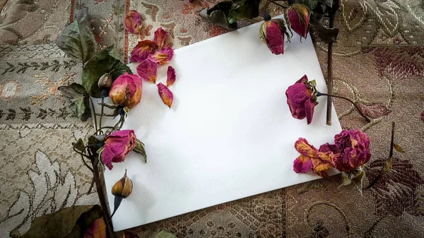 Boccioli di rosa secchi e fiori con una carta e spazio per il testo — Foto Stock