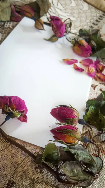 Getrocknete Rosenknospen und Blumen mit einer Karte und Platz für Text — Stockfoto