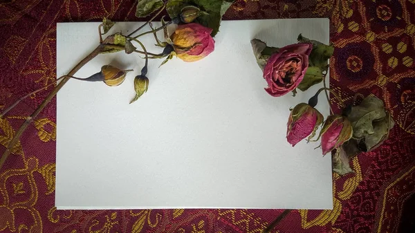 Brotes de rosa secos y flores con una tarjeta y espacio para el texto — Foto de Stock