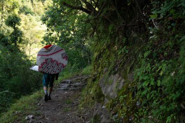 Langtang, Nepal - 15 Ekim 2016: Yerel kapıcı Langtang bölgesindeki köyüne doğru mobilya taşıyor.