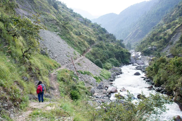 Langtang, Nepal - 15 Ekim 2016: Langtang Milli Parkı 'nda nehir kenarında yürüyen kadın yürüyüşçü.