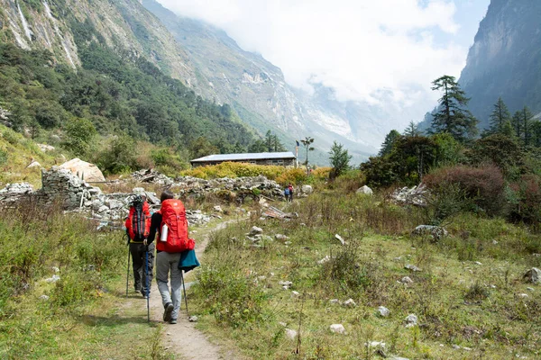 Langtang, Nepal - 16 Ekim 2016: Yürüyüşçüler Nepal 'deki Lang tang vadisine doğru giderken Ghoda Tabela' ya ulaştılar.