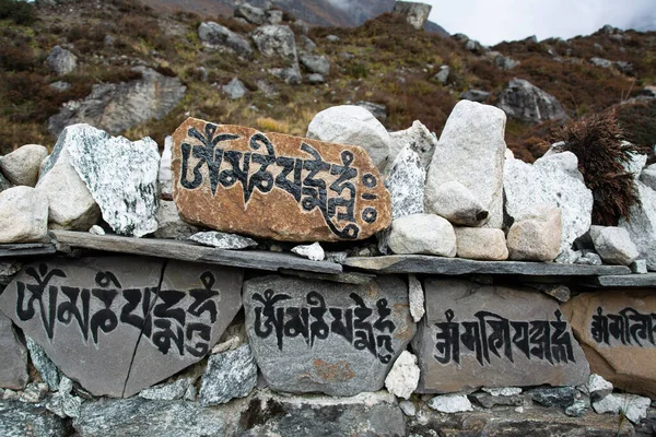 Nepal 'deki Langtang vadisinde kayaların üzerine Budist duaları yazılmış. Yerel halk bunun tanrılara dua etmenin bir yolu olduğuna inanıyor..