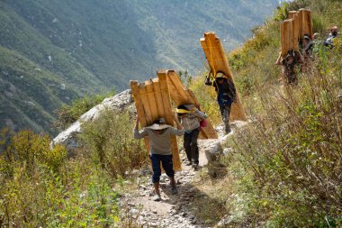 Langtang, Nepal - 18 Ekim 2016: Langtang Vadisi 'nde inşaat amaçlı odun taşıyan yerel halk.