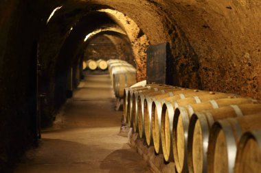 Mağarada dizilmiş eski şarap fıçıları..