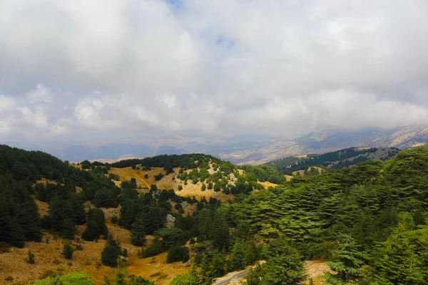 레바논에 바루크 — 스톡 사진