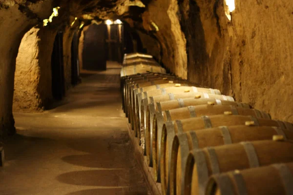 Barris Vinho Velho Dispostos Uma Caverna — Fotografia de Stock