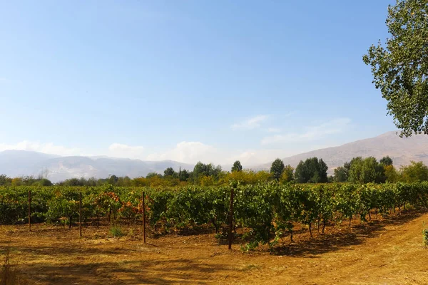 Hermoso Paisaje Montañas Tierras Cultivadas Los Confines Del Líbano — Foto de Stock