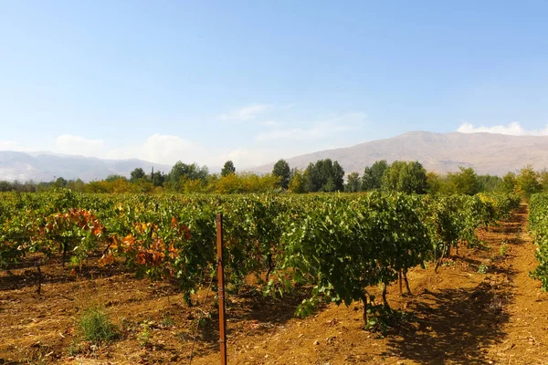 Hermoso Paisaje Montañas Tierras Cultivadas Los Confines Del Líbano — Foto de Stock