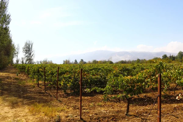 Hermoso Paisaje Montañas Tierras Cultivadas Los Confines Del Líbano — Foto de Stock