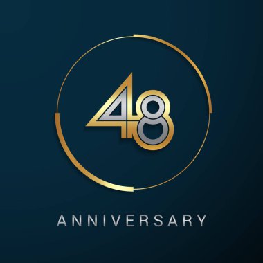48 yıllık yıldönümü logo