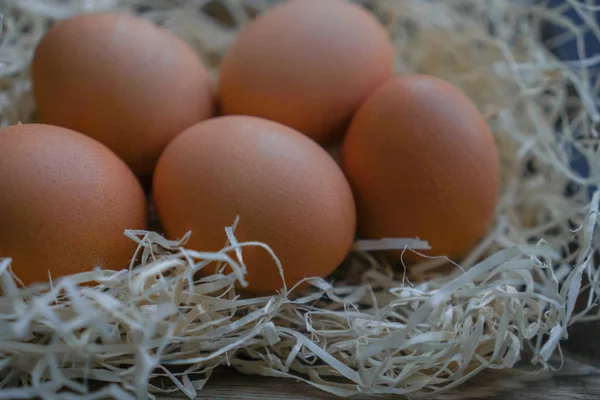 Tavuk siyah arka plan üzerine yumurta. Paskalya Tema