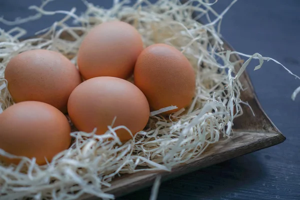 Tavuk siyah arka plan üzerine yumurta. Paskalya Tema