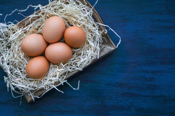 Tavuk siyah arka plan üzerine yumurta. Paskalya Tema