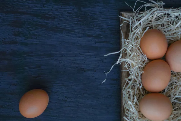 Tavuk siyah arka plan üzerine yumurta. Paskalya Tema