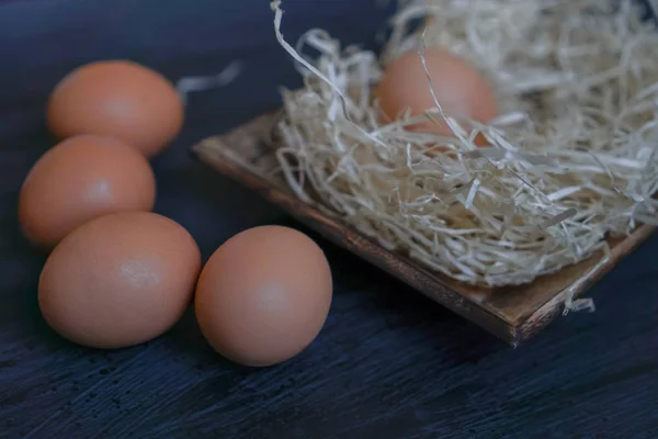 Tavuk siyah arka plan üzerine yumurta. Paskalya Tema