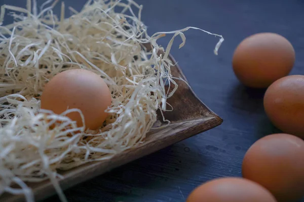 Tavuk siyah arka plan üzerine yumurta. Paskalya Tema